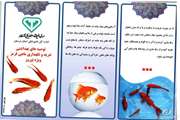 مخاطرات بهداشتی ماهی قرمز نوروزی